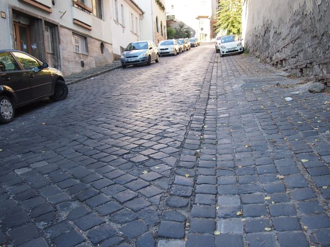 気持ちを切り替えて　ブダ界隈を　歩きます。