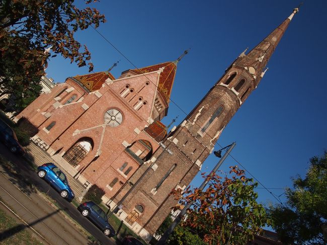 何とか　収まりました。