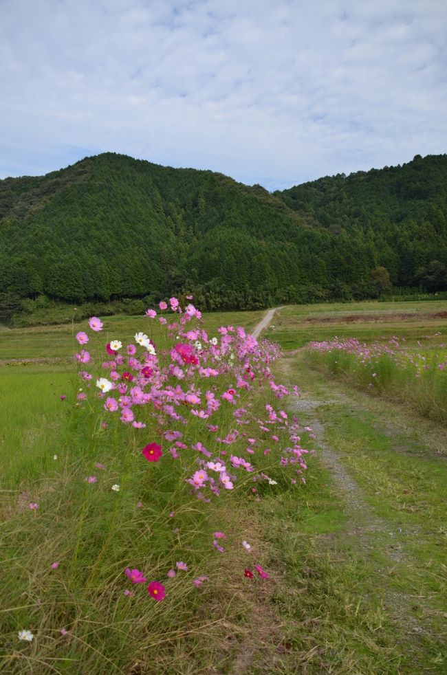 のどかな風景がずっと広がる。