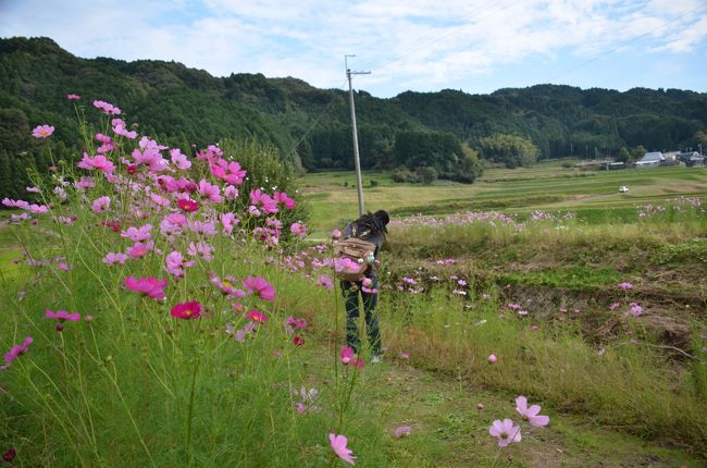 simafukurouさんも愛用のカメラで、あちこちで写真を楽しんでいるようです。