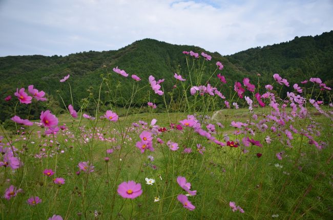 柳生の里の風景。