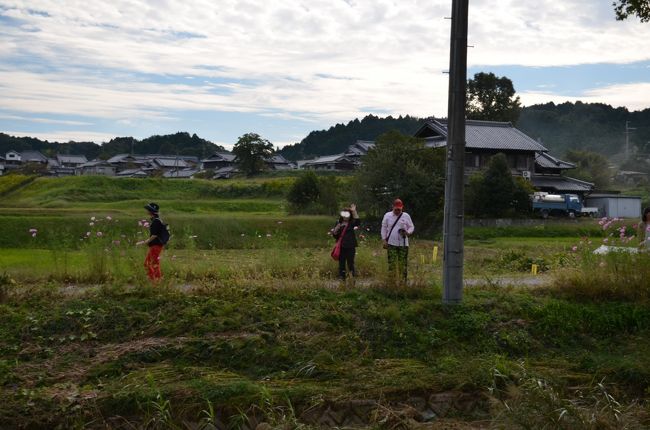 対岸からガブちゃんが手を振っています。楽しそう。