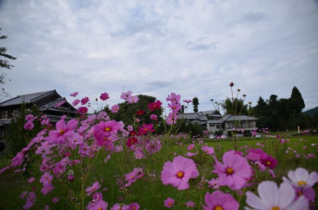 田舎の家屋も風情があります。