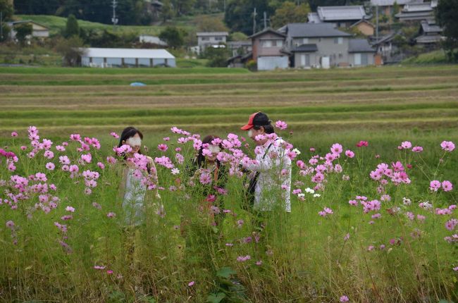 みんなに笑顔が溢れます。楽しそうに何か話していますね。<br />こちらが撮る姿を見て何か笑っていると思ったら・・・「ミラヒップ」と言う話題が出ました。<br />こちらがどうもお尻を突き出して撮っていたようです。<br />そして、ミラさん、たらよろさん、るなさんも話題に(^^)<br />悪いことじゃないですよ。(^^)