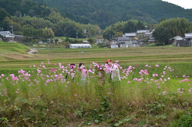 JOECOOLさんも撮影を楽しんでいるようです。