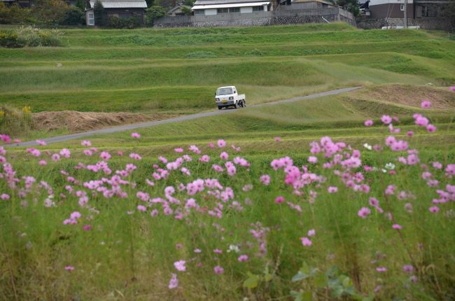 こんな風景も良いと思いませんか？