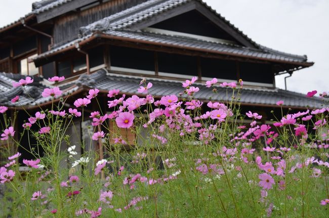 奈良の田舎の伝統的家屋は黒壁が多いです。