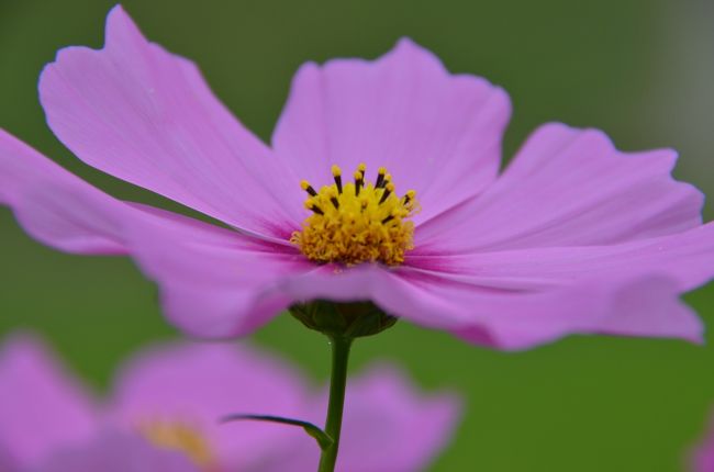 ものをよく見るといろいろなことに気付きます。