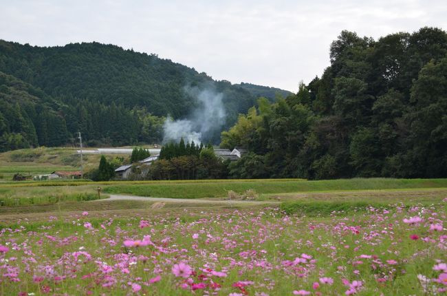 野焼きしている煙も風情があって良いですね。