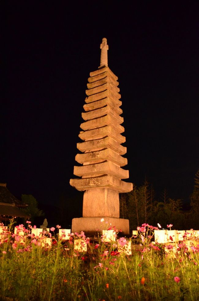 ライトアップされたお寺の境内。