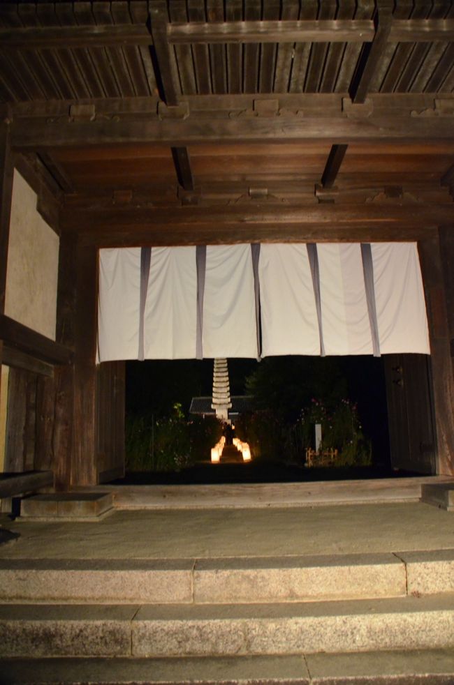 楼門から見た般若寺境内。