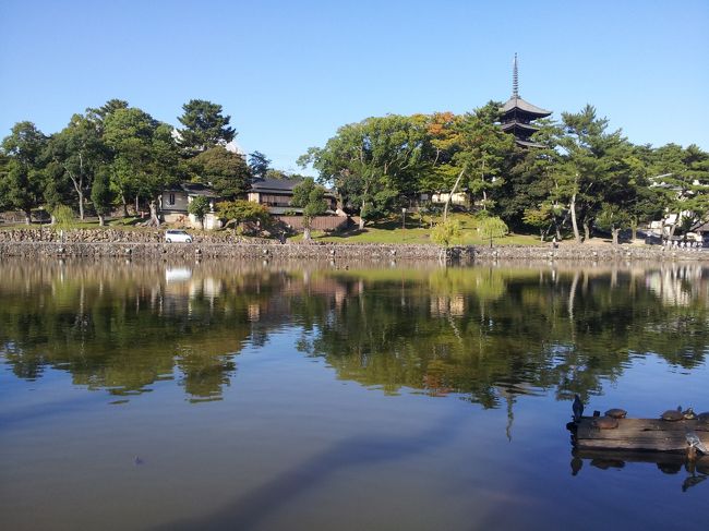 JR奈良駅からまっすぐ歩くこと15分位。<br />猿沢池。
