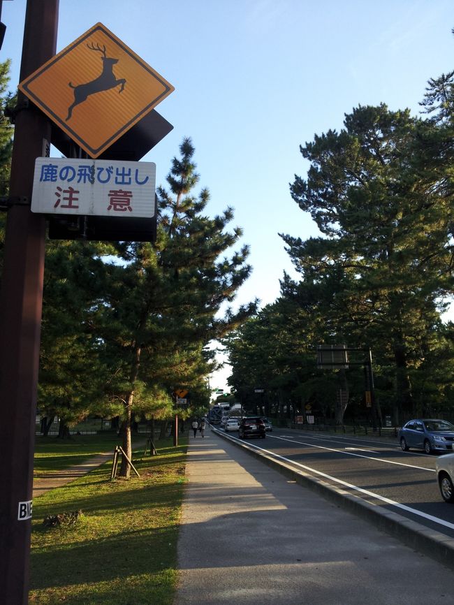 ほんまに注意！！