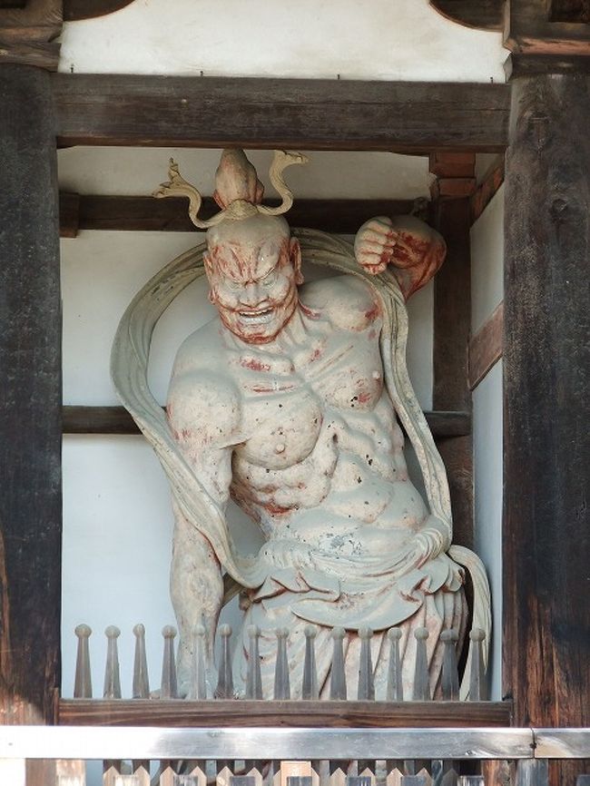 迫力あります<br />