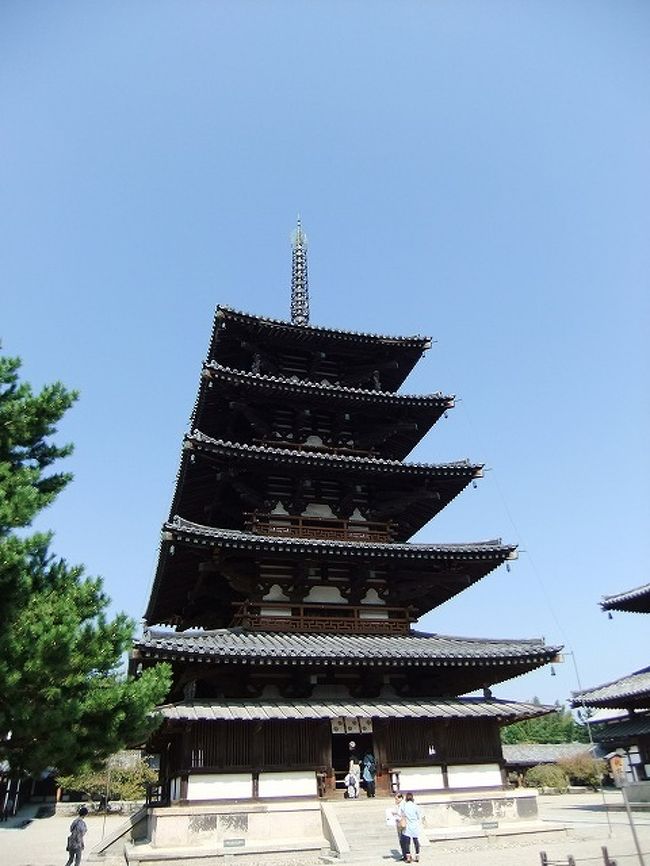 何度もこれそうにないと言い訳して折角なので中に入りました<br />