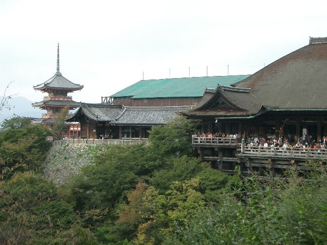 紅葉の時期は最高だろうな…<br /><br />だから激混みなのか。