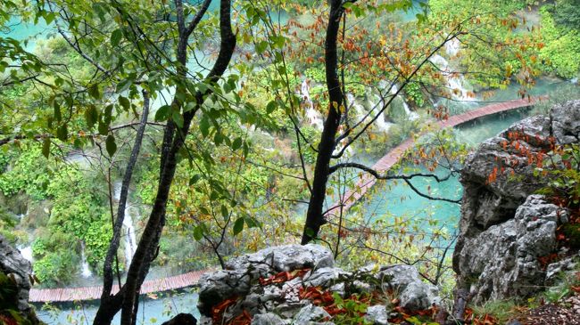 木々の間から見える、長い年月をかけ石灰草で作られた堰を越えて流れ落ちる滝が美しい。