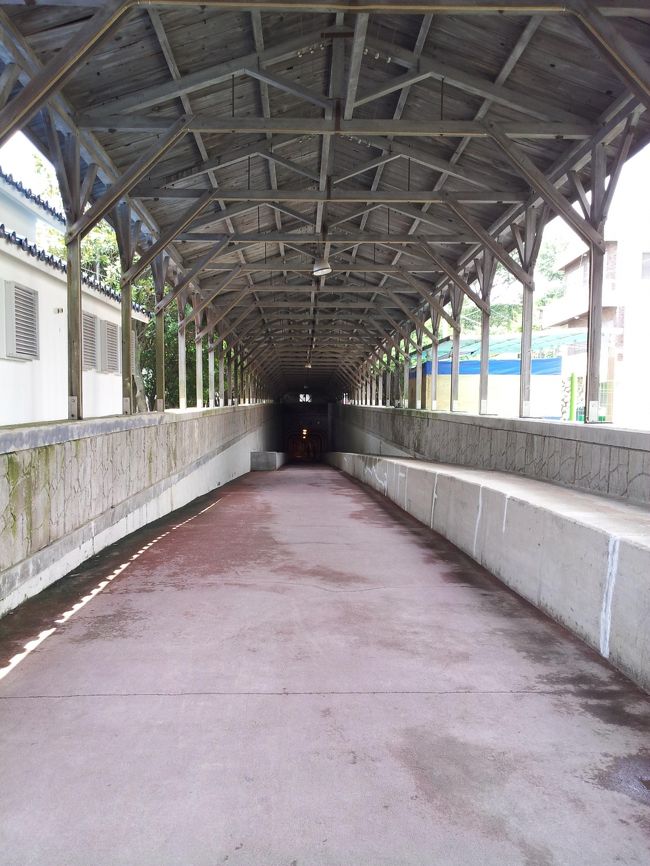 入り口から海底トンネルを見た図。