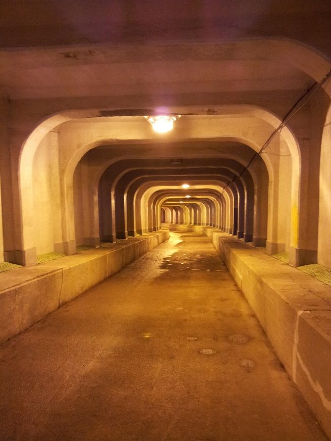 夏はここで寝たい。