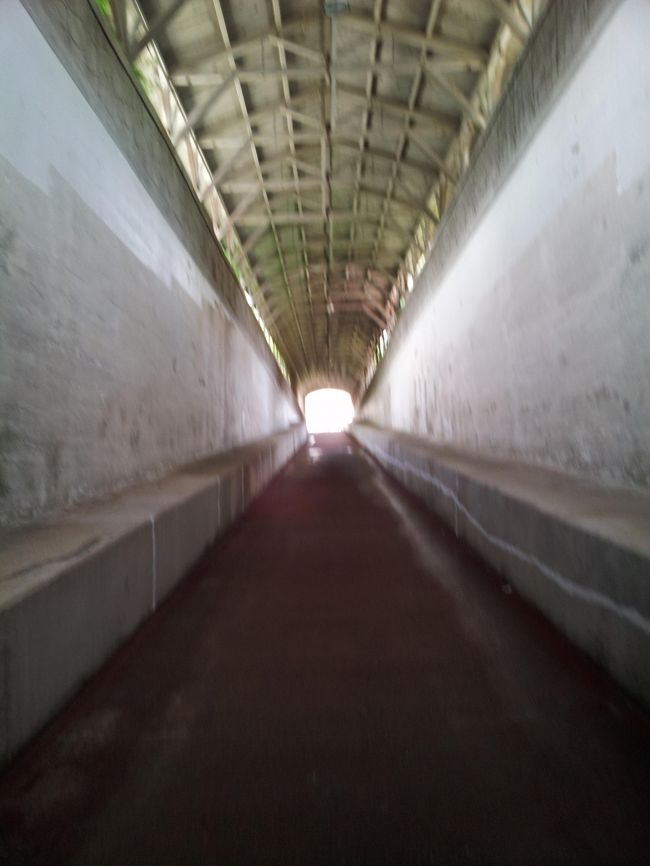 何でここに海底トンネルを造ったのか？が気になります。