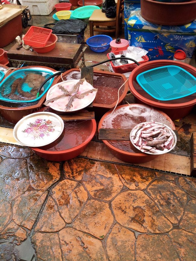 新鮮な海鮮も売ってます。