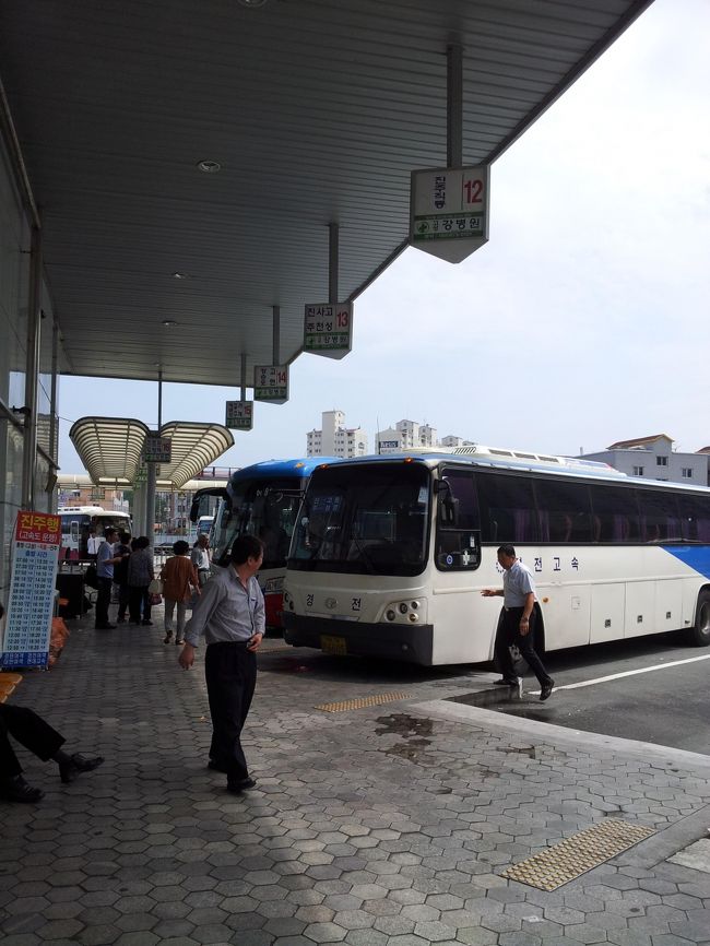 たくさんバスがとまっています。