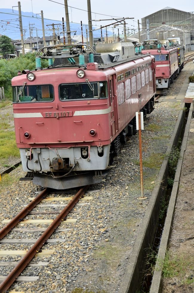 EF81敦賀運転所二つ 敦賀地域鉄道部敦賀運転センター車両管理室 EF81 114 の写真