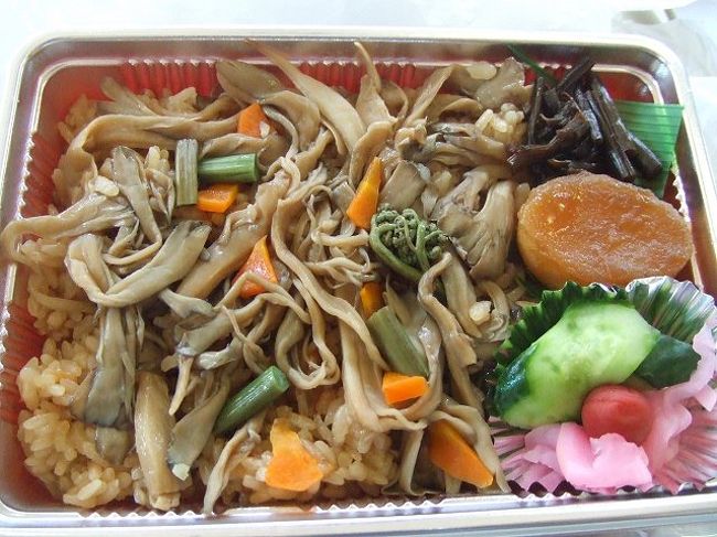 駅の隣にある道の駅で購入したまいたけ弁当（400円）このあたりはまいたけが有名なんだそうです。<br />残念だったのは駅名に惹かれてきたのですが九頭竜湖はさらにここからかなり先に進んだところにあるそうで、湖が見られなかったことでした。