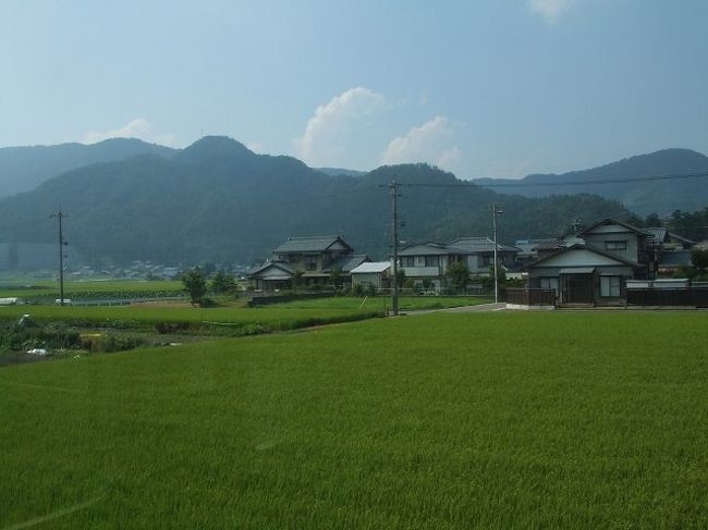 そんなわけで来た道を戻ります。たんに越美北線を乗りつぶし、した形になりました。