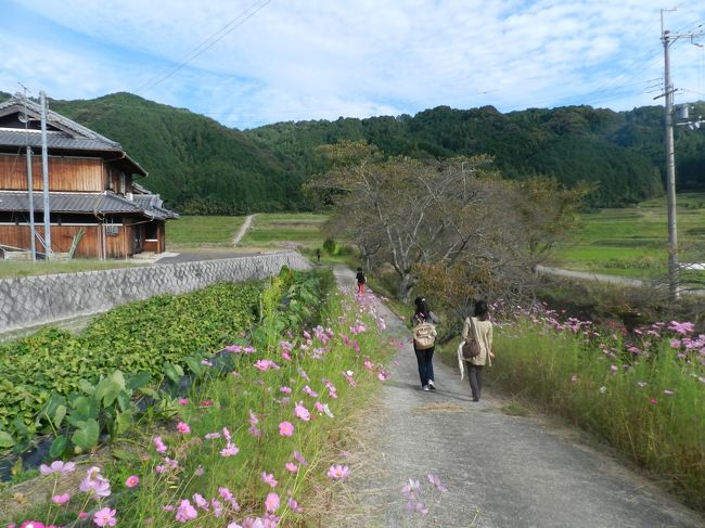 はやる気持ちを抑えきれないガブちゃんは小走りで先に行ってます（一番向こうの黒っぽい服）。その後をwifeが続き、さらにらぼさん（右）＆shimahukurouさん（左）が続きます。
