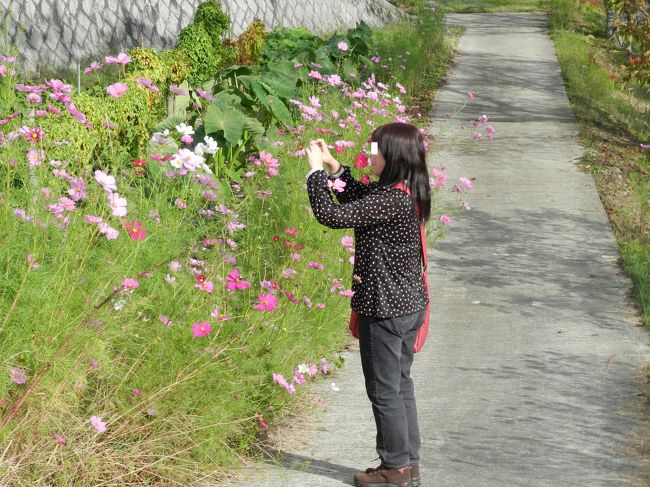 ガブちゃんの撮影姿。<br />お花に囲まれて生き生きしています♪