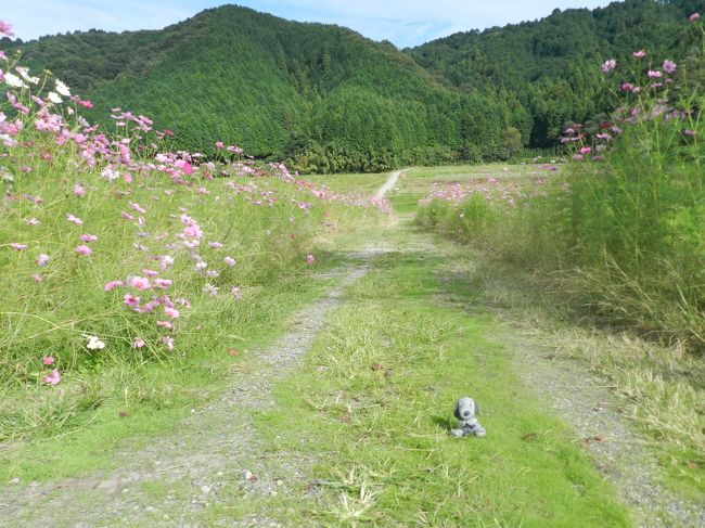 こういうのどかな里山の風景がとってもイイ！！