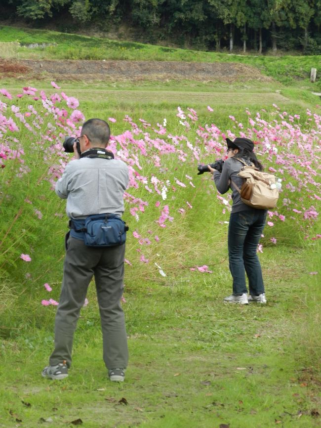 大目付さんとshimahukuouさんはデジイチ派。<br />やっぱり撮っている姿がサマになっています！