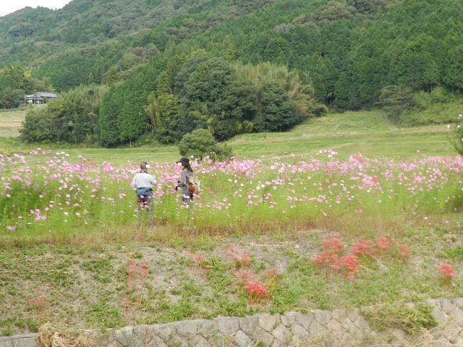 お花畑で談笑する二人...