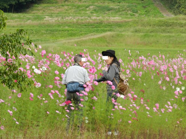「おっ！これが噂の二人！？」<br />などと言いながら、ツーショットを激写していると...