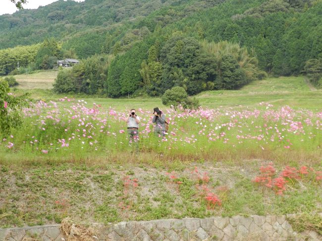 反撃に遭ってしまいました（笑）。