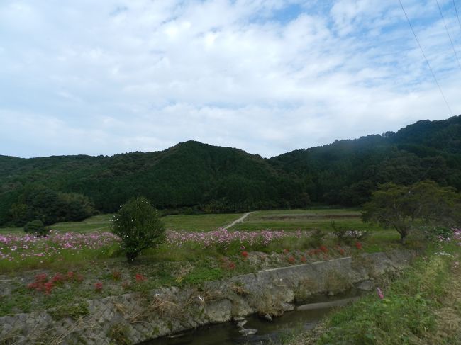 小川があって田畑が広がり、その向こうには小高い山...<br />柳生の里って、とてものどかな感じで日本の原風景みたいでイイですね〜！