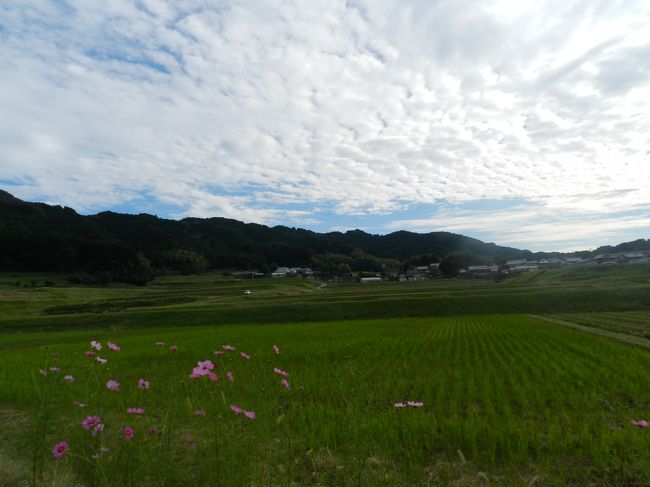 この日は天気が良かったので、まだ暑いくらいでしたが、空を見上げるとやっぱり「秋の空」でした！