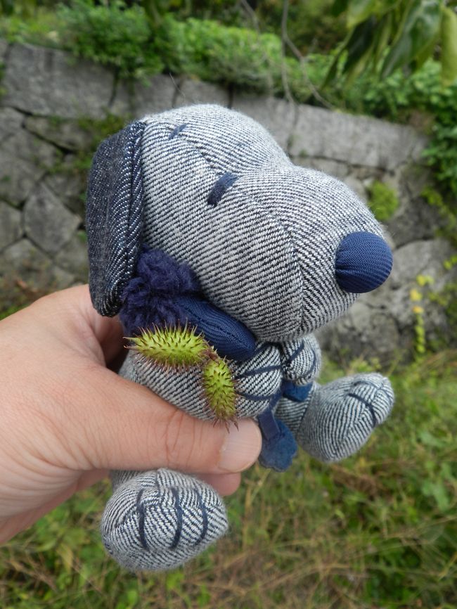 このスヌ君はウッドストックを抱っこしています。<br /><br />そのウッドストックに「ひっつきむし」がへばりついています。<br /><br />ウッドストック：「痛い、痛い...」