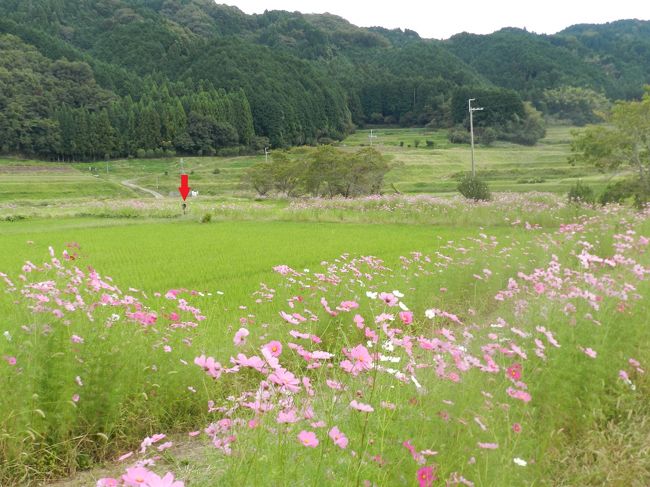 おやっ！？<br />shimahukurouさんは撮影に夢中になってあんなところまで（赤矢印）！<br />でも、ガブちゃんの声は聞こえていたそうで、安心して撮影していたとか...（笑）。<br />実際に、ガブちゃんの声って非常によく通る声なので遠くにいても聞こえるんですよ（◎｡◎）