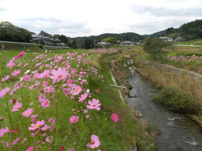 のどかな小川の風景がこれまたイイ感じ！