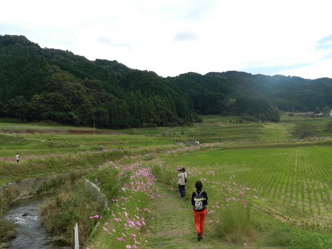 皆が思い思いに散策したり写真を撮ったりしていましたが、ちょっと場所を変えることにしましょう。