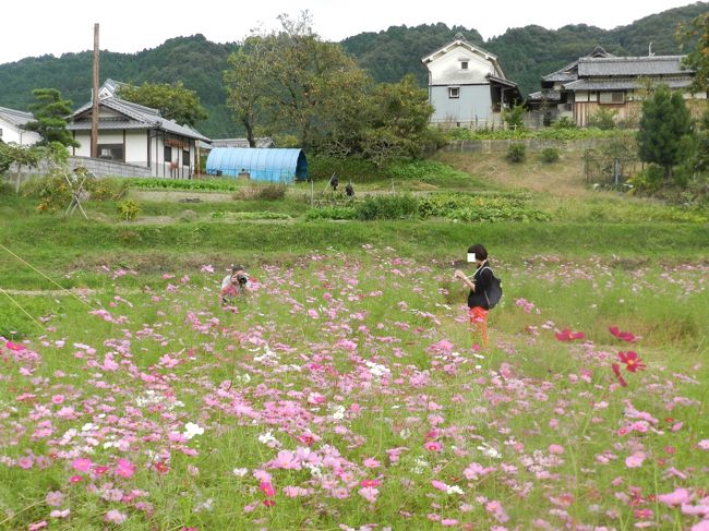 大目付さんとwifeが接近遭遇！？