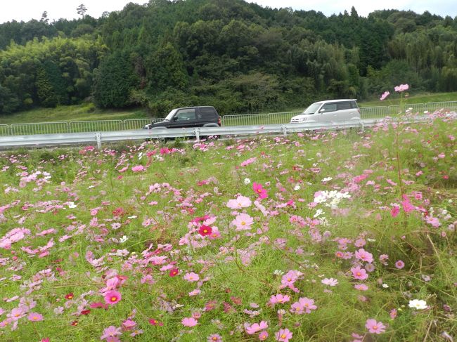 道路脇に駐まっているのは大目付さんの車（この日はセカンドカーで来られていました）とJOECOOL家のスヌーピー号です。