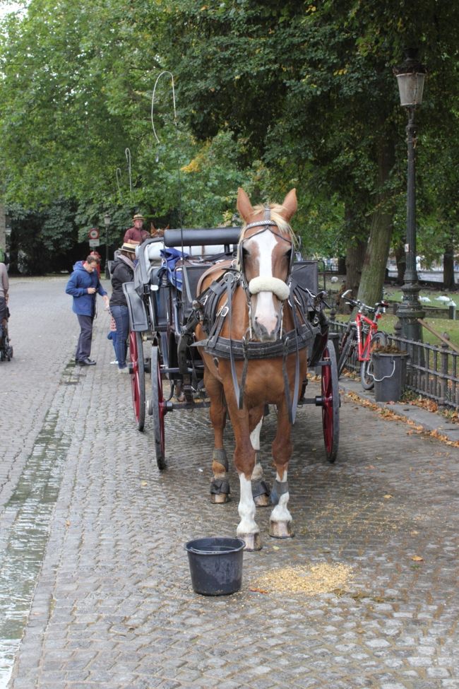 さっきの水を飲んでいます。