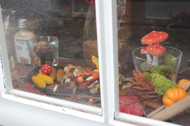 ディスプレイはすっかり秋のものです。