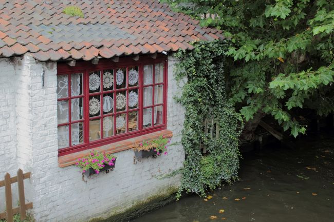 多分、部屋は半分水面下？