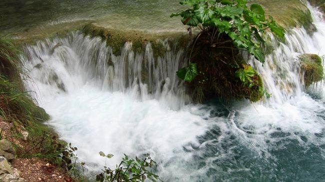 どの滝でも、美しい水しぶきを上げている。プリトビッツェは東洋的な繊細な美しさを感じた。特に雨の中での散策だったので、適度な靄も有り、乾燥したヨーロッパの雰囲気とはちょっと違って感じた。