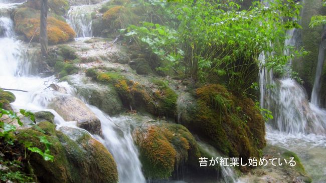 この写真は、奥入瀬渓谷の流れを思い出させるような、日本的な渓谷美をヨーロッパで見た気がした。水の温度は今まで暖められていたので、ぬるま湯の様に高く、急な寒さで靄が出やすくなっている。