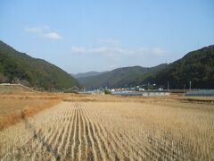 荷稲の田園風景